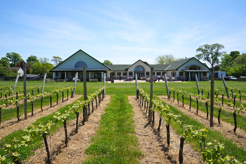 Duck Walk North Vineyard and Tasting Room Photo Courtesy of Duck Walk Vineyards 3 0 2476b71e c5ed 48c2 78b6c4ae603c4ca2