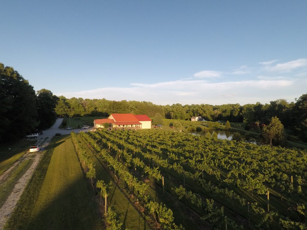 aerial vineyard 33