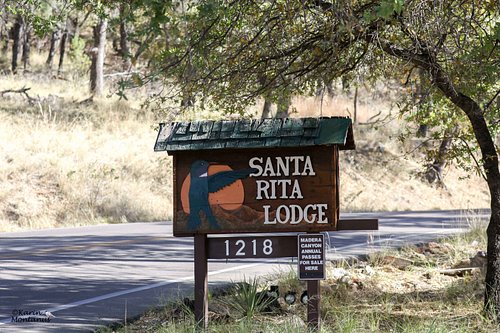 santa rita lodge