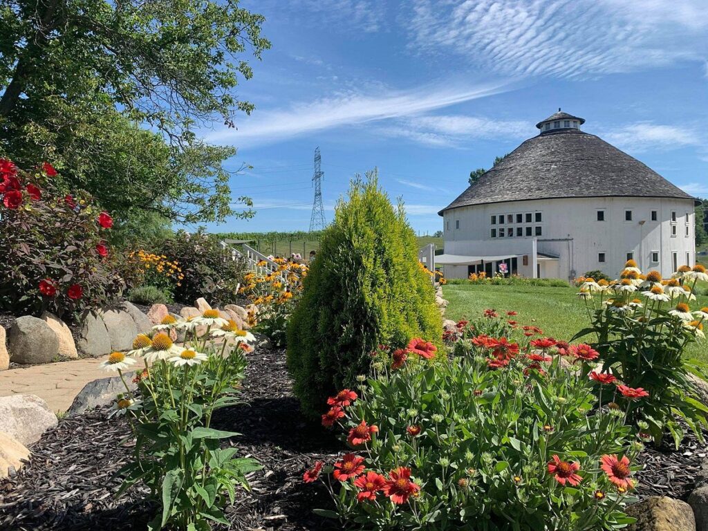 vineyards with live music