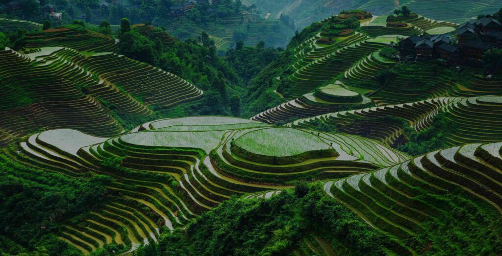 Longsheng rice terraces Yangshuo Mountain Retreat tours