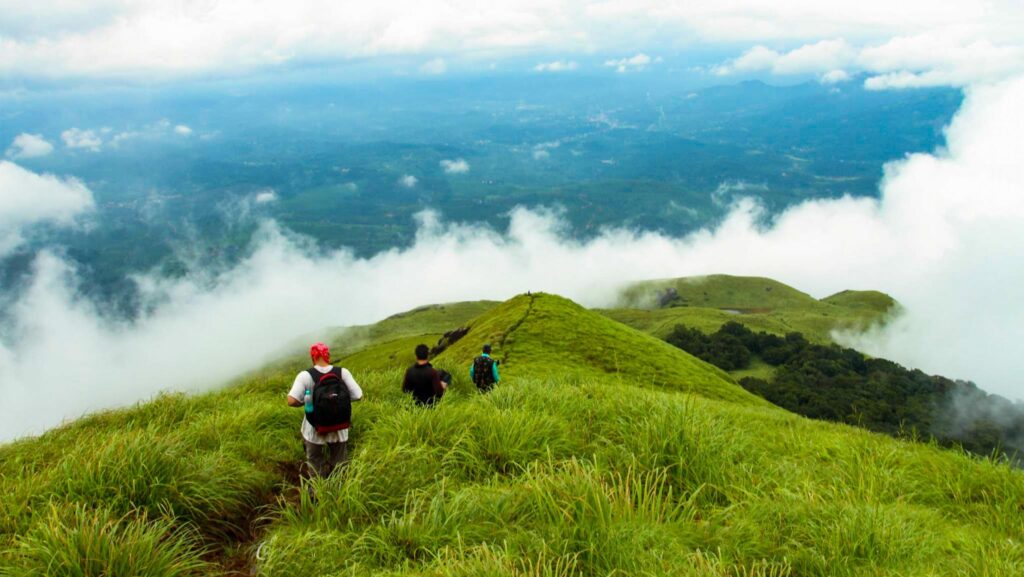 Chembra Peak Trek 1 scaled 1