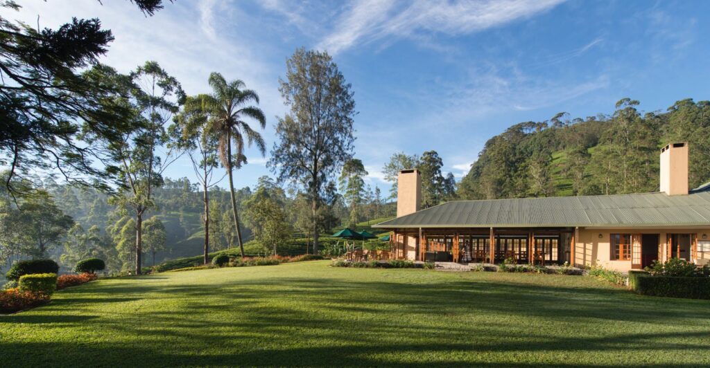 WEB SL Ceylon Tea Trails Norwood LEAD
