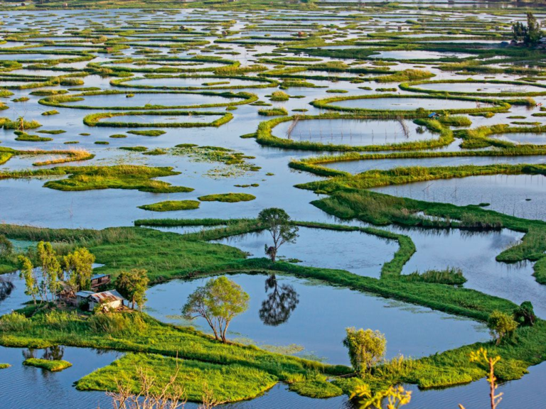 Best National Parks to Sisit in India [ Updated 2025]