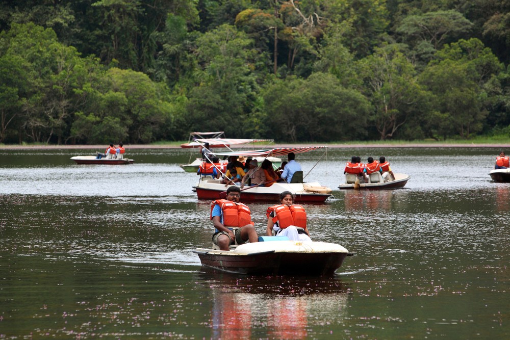 pookode lake in wayanad625cf743e929d