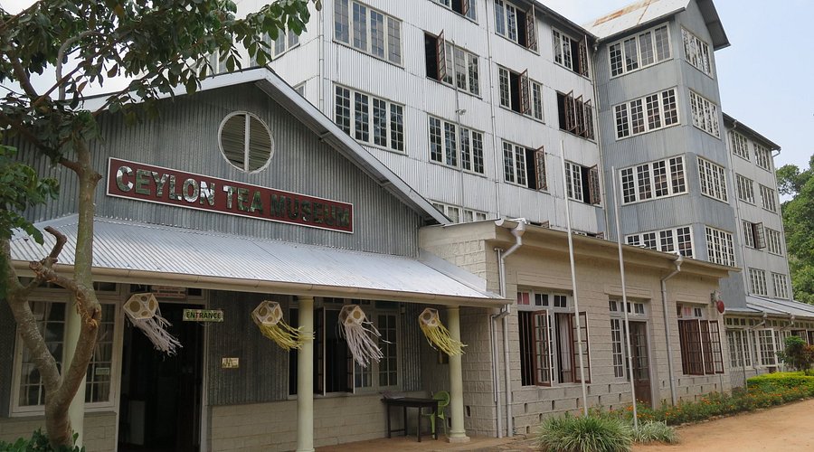tea museum 10