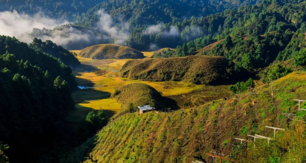 40 yoga retreats in India