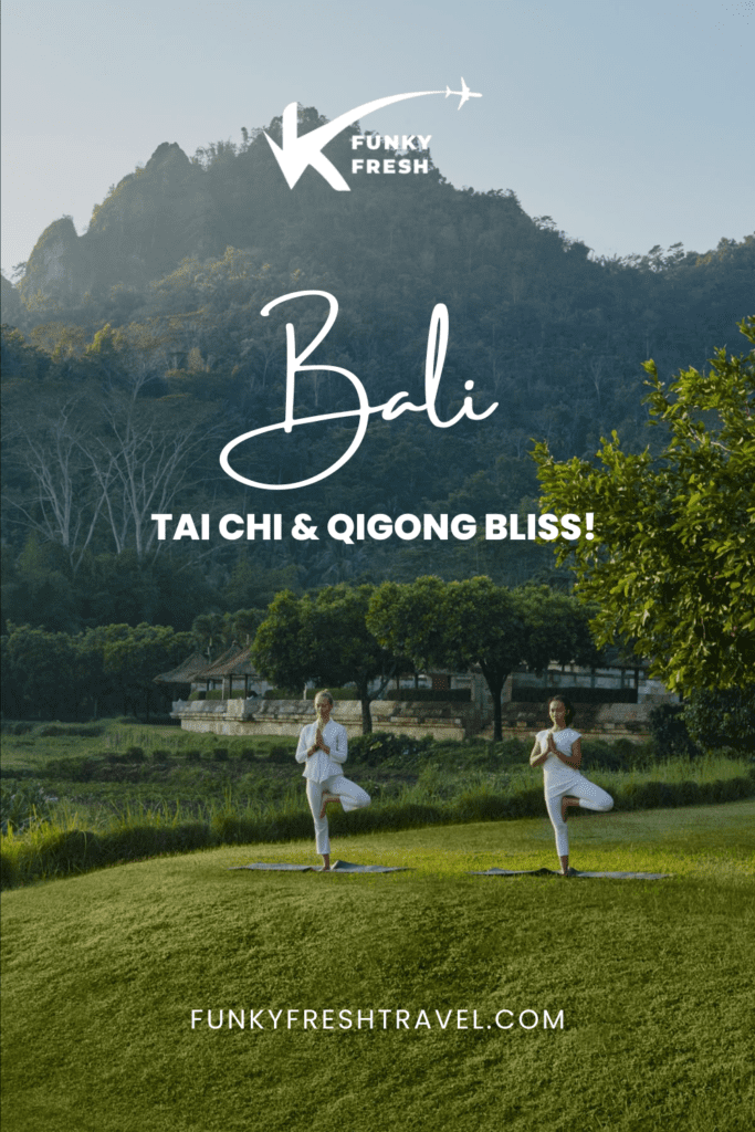 FF PINS tai chi