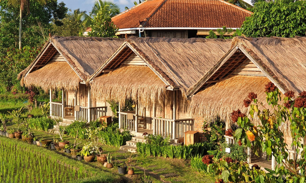 image 171 Meditation Classes and Spiritual Retreats in Bali