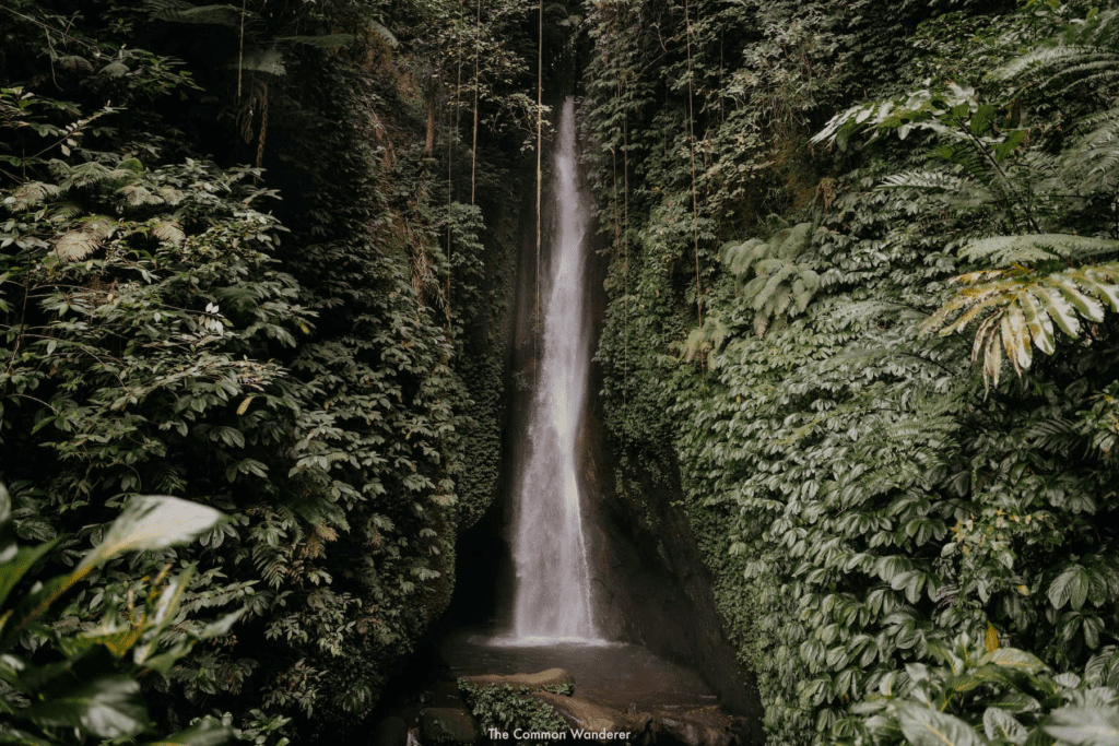 image 432 Bali waterfalls