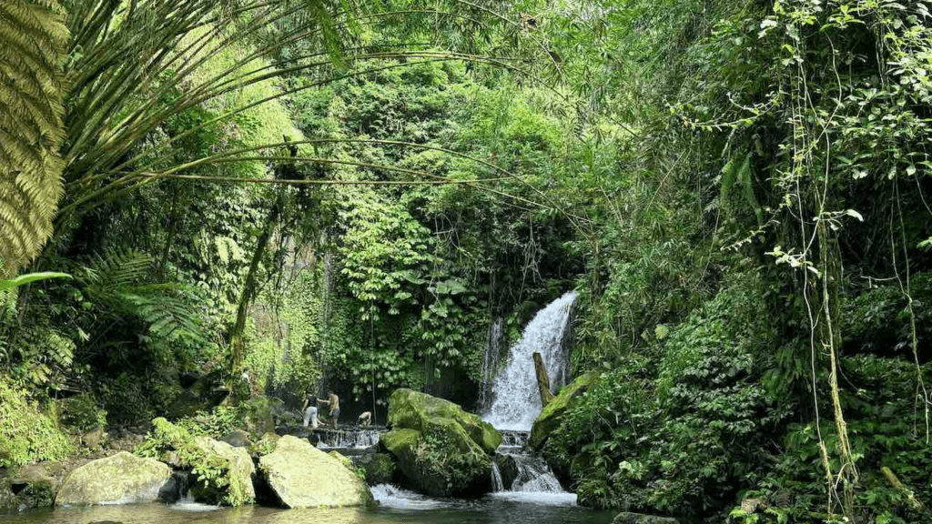 image 437 Bali waterfalls