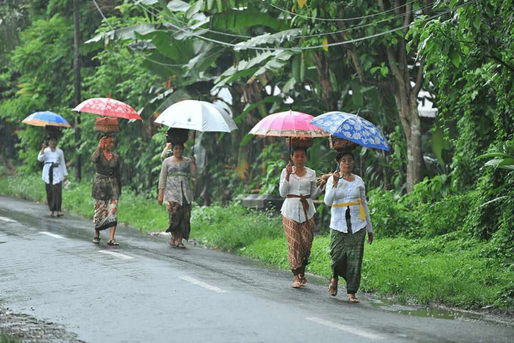 image 505 Best time to visit Bali