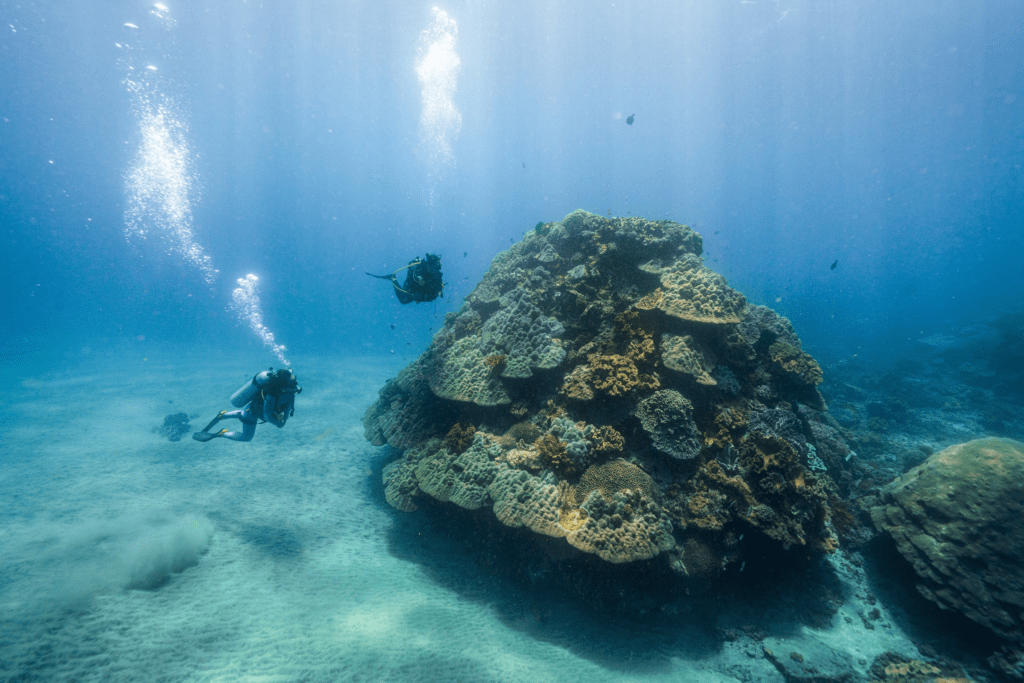 image 643 diving spots