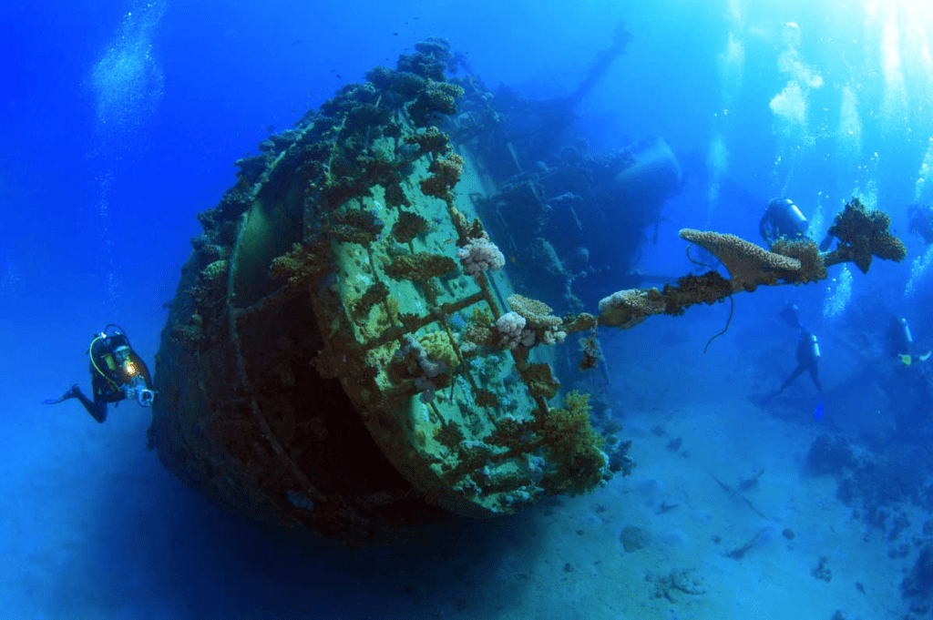 image 646 diving spots