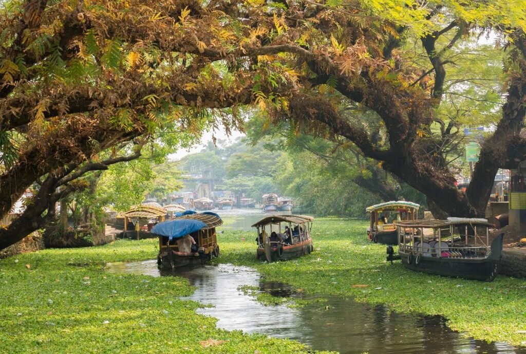 q 70 yoga retreats in India