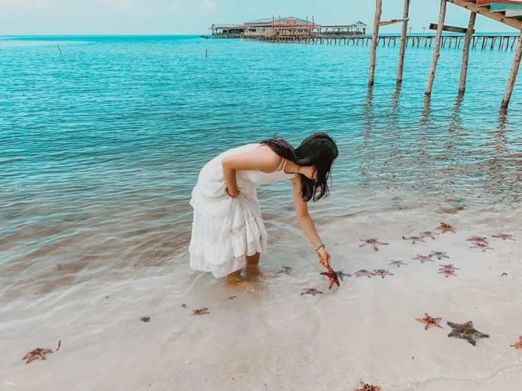 721e8271 d093 4610 9a7c 3f7e47093dc0 northern phu quoc day tour starfish beach rach vem village and kayaking experience xlarge