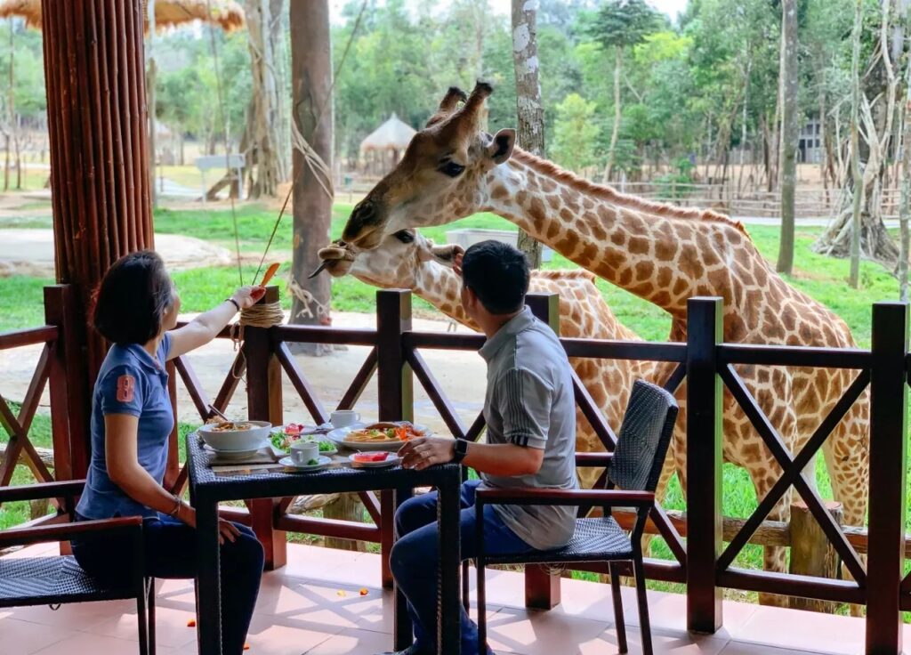 An gi khi di tham quan khu vuon khu Vinpearl Safari Phu Quoc 06 1617439727