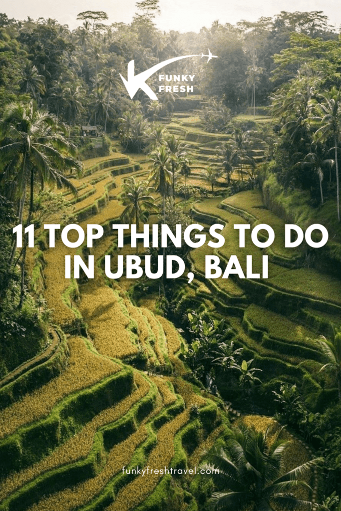 FF PINS 2 4 1 Things to Do in Ubud