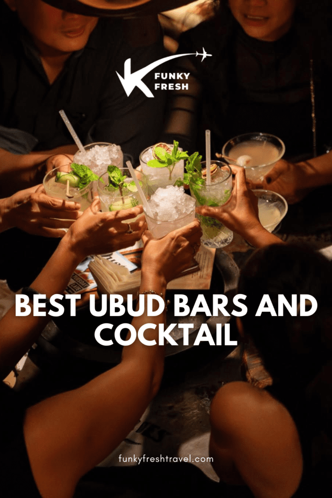 FF PINS 2 8 best ubud bars
