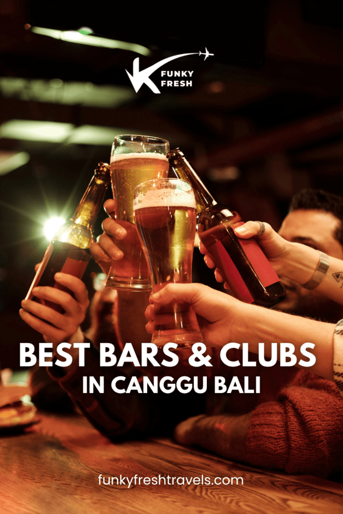 FF PINS 6 2 best bars in canggu