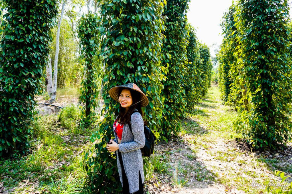 Pepper farm trip