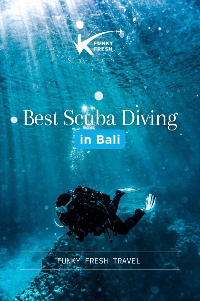 WhatsApp Image 2025 07 18 at 15.29.01 cd6421f2 diving spots