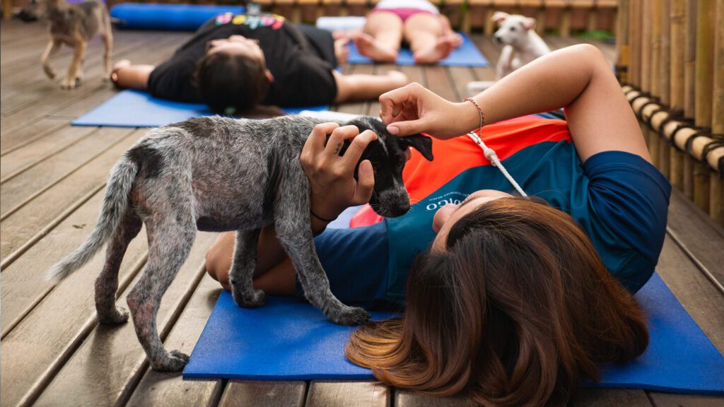 Hotel Indigo Bali Seminyak Beach